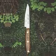 Нож для чистки овощей и фруктов «Нордика» сталь нерж.,дерево ,L=10см, изображение 2