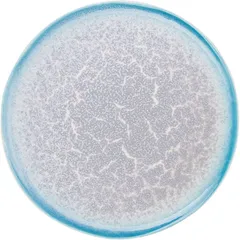 Тарелка «Нептун» фарфор D=27,9см бирюз.,белый