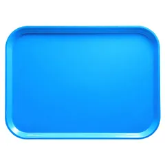 Rectangular tray  fiberglass , L=43, B=33cm  blue.