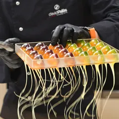 Форма для шоколада «Квартус» [24 ячейки] пластик ,H=30,L=275,B=175мм прозр., изображение 2