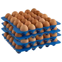 Контейнер для продуктов для яиц на 120 штук с крышкой + 4 лотка полипроп. ,H=20,L=35,4,B=32,5см проз