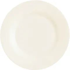 Plate "Intensity" small zenix D=205,H=18mm white