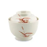 Мисосупница