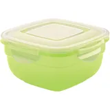 Контейнер для продуктов с крышкой полипроп. 1л ,H=8,L=16/16см прозр.,зелен.