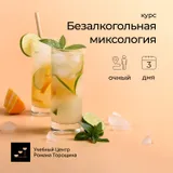 Курс «Безалкогольная миксология» очный, 3 дня
