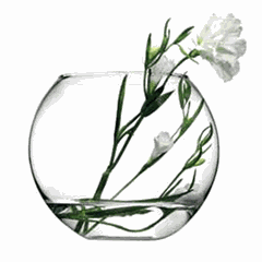 Flower vase “Botanica” glass 6.5l D=16,H=19,B=22cm