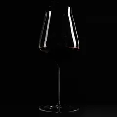 Бокал для вина «Ревил ап Аэрис» хр.стекло 0,66л D=65,H=245мм прозр., изображение 4
