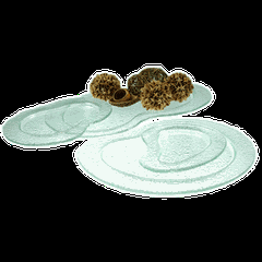 Тарелка «Амеба» стекло ,H=15,L=280,B=260мм прозр.