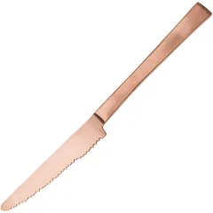 Нож столовый «Маартен Баас» сталь нерж.,медь ,L=22,1см бронз.