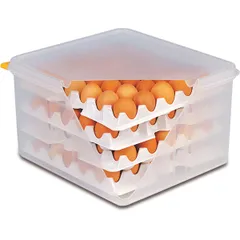 Tray for container for storing eggs (d/art. 82419)[10pcs] polyprop. ,H=65,L=285,B=285mm