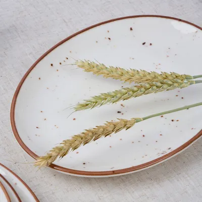 Блюдо «Париж» овальное фарфор ,L=25,B=19см белый,коричнев., Форма: Овальная, изображение 7