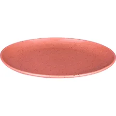 Блюдо «Лайфстиль» овальное фарфор ,L=28,B=21,5см терракот, изображение 2