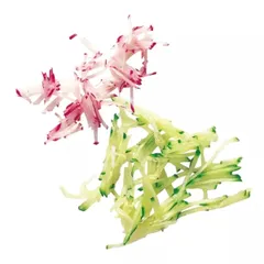 Диск соломка 2*2мм д/R201,301, изображение 2