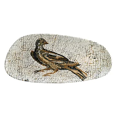 Блюдо для подачи «Месопотамия Фауна» фарфор ,L=36,B=16см белый,коричнев.