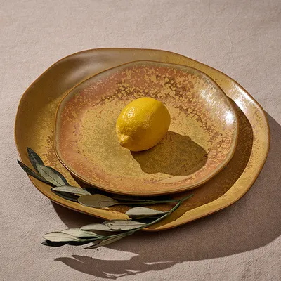 Тарелка «Эггшелл Нейчер» фарфор D=230,H=38мм коричнев., изображение 3