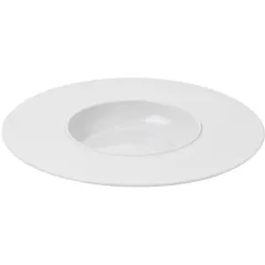 Plate for pasta, soup  porcelain  330ml  D=30cm