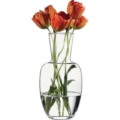 Ваза для цветов «Ботаника» стекло D=84,H=278мм, изображение 2