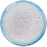 Тарелка «Нептун» фарфор D=203,H=20мм бирюз.,белый