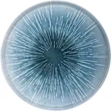 Тарелка «Нанокрем Блю» с бортом фарфор D=240,H=18мм голуб.