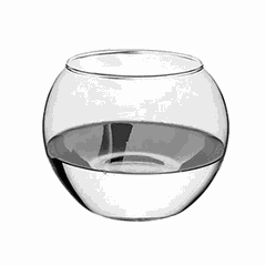 Flower vase “Botany” glass 3l D=12,H=15,B=16cm