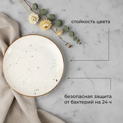 Тарелка «Париж» фарфор D=25см белый,коричнев., Диаметр (мм): 250, изображение 12