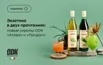 Экзотика в двух прочтениях: новые сиропы ODK «Агава» и «Пандан»