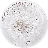 Тарелка «Тирамису» керамика D=18,H=3см белый,черный