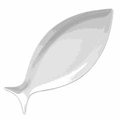 Dish “Fish” plastic ,H=25,L=480,B=225mm white