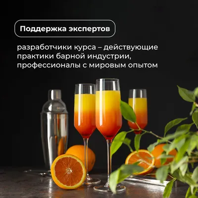 Базовый курс «Бармен: Beginner» очный, 5 дней, изображение 3